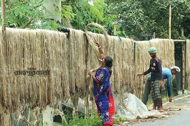 তিন বছরের মধ্যে সর্বোচ্চ, কারণ কী